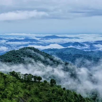 Wayanad Ooty Kodaikanal Mysore Coorg Tour Package 11 Days