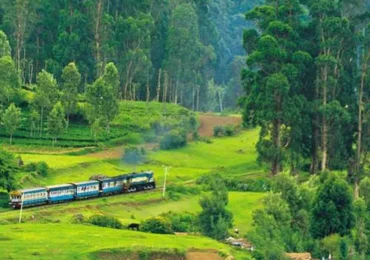 Ooty Kodaikanal Tour Package