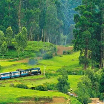 Ooty Kodaikanal Tour Package