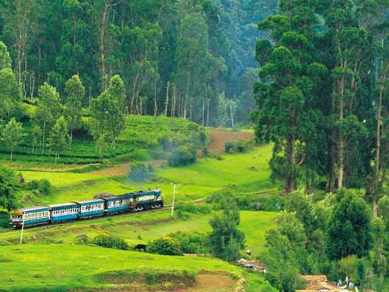 Ooty Kodaikanal Tour Package Ooty Kodaikanal Tour Package
