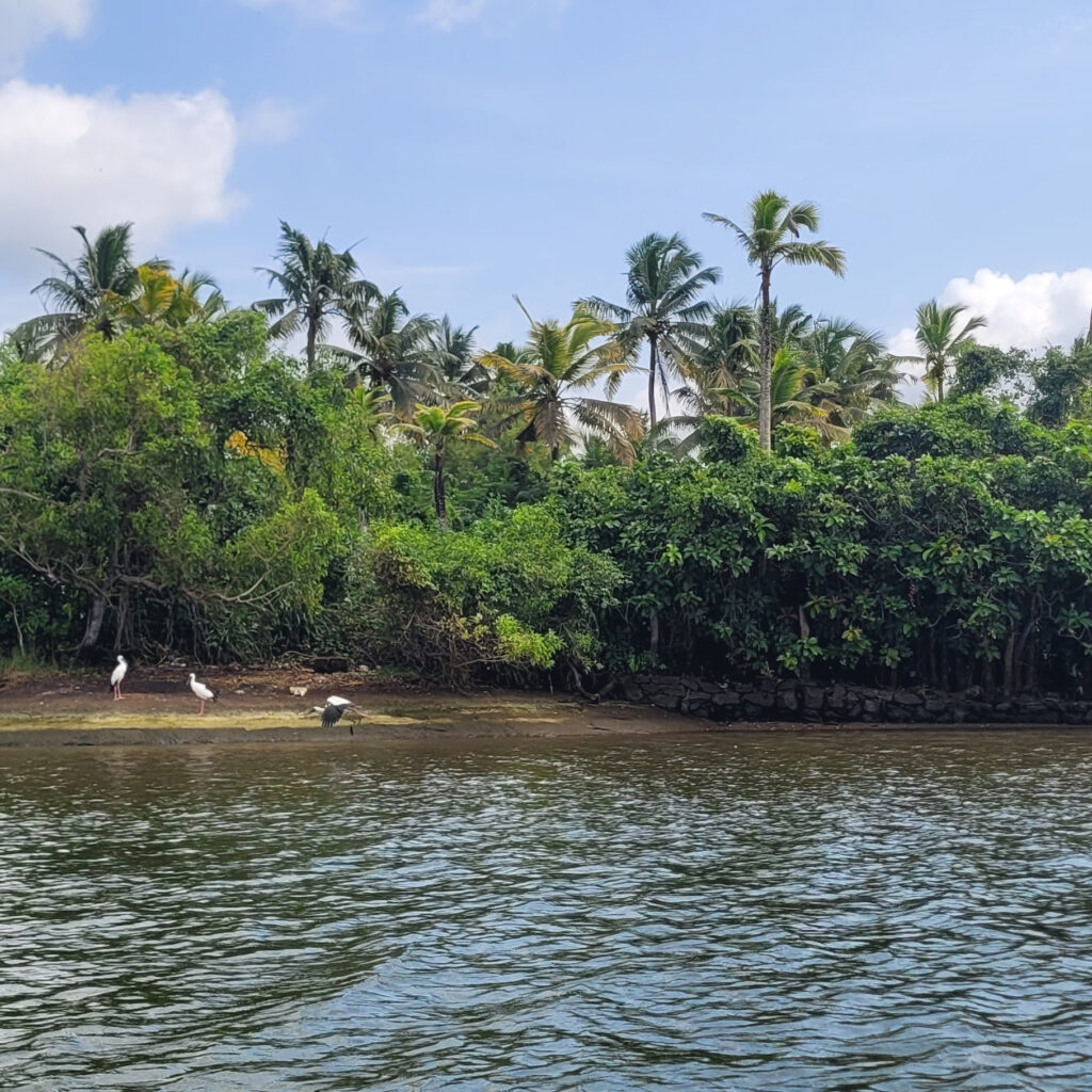 poovar travel guide image