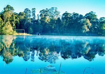 Bangalore Mysore Ooty Kodaikanal Tour Package