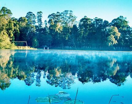 Bangalore Mysore Ooty Kodaikanal Tour Package