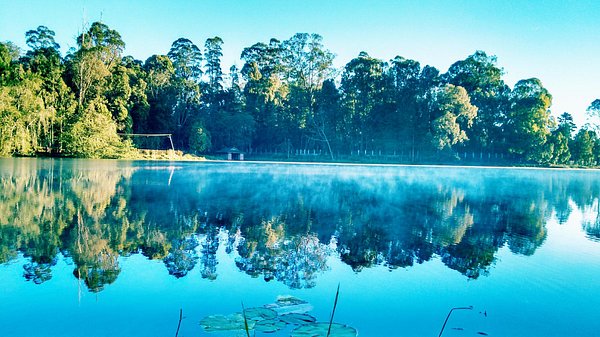 Bangalore Mysore Ooty Kodaikanal Tour Package Bangalore Mysore Ooty Kodaikanal Tour Package