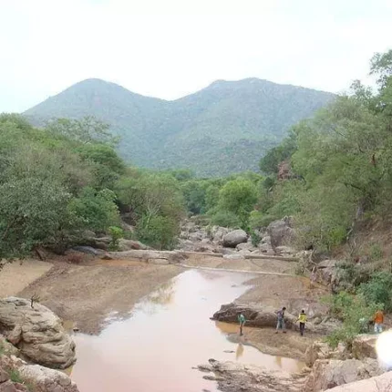 jawadhu hills tour package