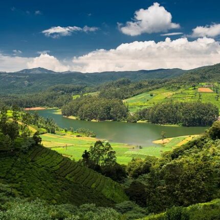 Scenic Mysore & Ooty Tour