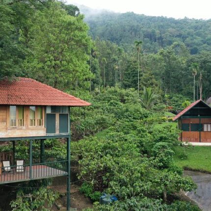Wayanad and Coorg Tour