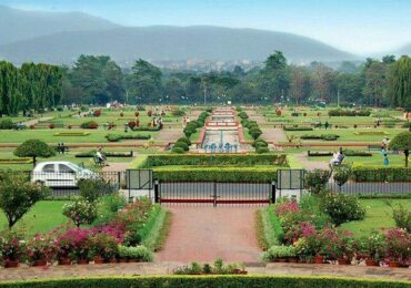 Discovering Serenity across Jharkhand
