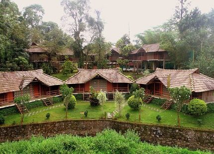 Wayanad Tour Packages