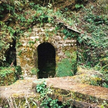 Champawat Mayawati Ashram Tour Package 3 Days