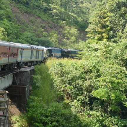 sakleshpur tour package from delhi 4 days