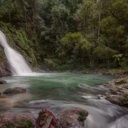 Agumbe Tour Package from Visakhapatnam