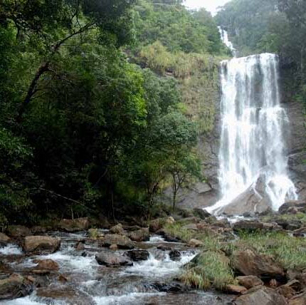 kemmanagundi tarikere bhadra wildlife sanctuary z point tour package