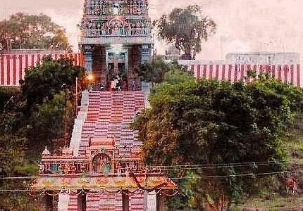 Kodaikanal Palani Murugan Temple Madurai Thekkady Munnar Tour Package 7 Days