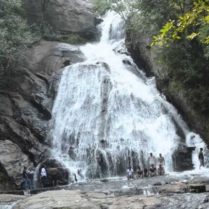 Monkey Falls Tour Package 2 Days