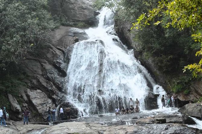 Monkey Falls Tour Package 2 Days Monkey Falls Tour Package 2 Days