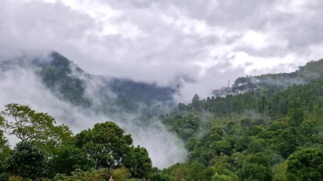 Kodaikanal Tour Package from Bangalore 5 Days Kodaikanal Tour Package from Bangalore 5 Days