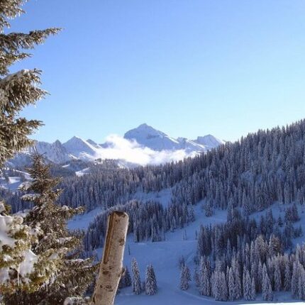 tirthan valley great himalayan national park tour package 4 days