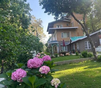 palampur tour package 3 days