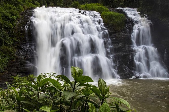 mysore coorg tour package from bangalore mysore coorg tour package from bangalore