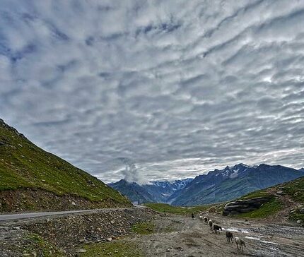 manali rohtang pass solang valley tour package