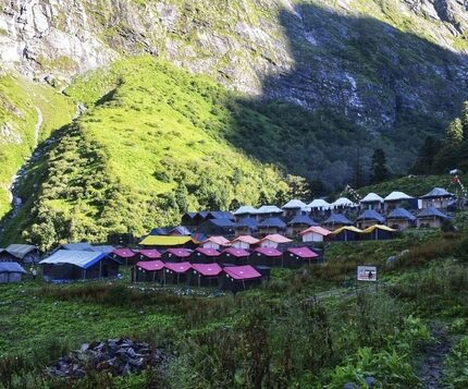 Joshimath Auli Valley of Flowers Hemkund Sahib Mana Village Badrinath tour package 9 days