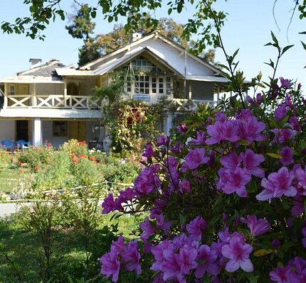 Champawat Lohaghat Abbott Mount Mayawati Ashram Pithoragarh Tour Package 6 Days