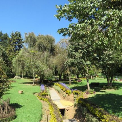 Ooty Tour Package 5 Days from Durg