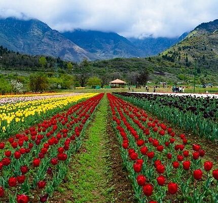 Kashmir Tour Package from Surat