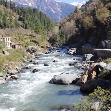 shimla kufri tour package