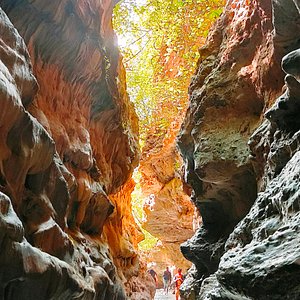 Chakrata Tiger Falls Kanasar tour package 3 days