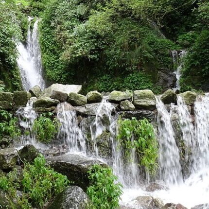 dalhousie khajjiar chamba chamera lake kalatop tour package 6 days