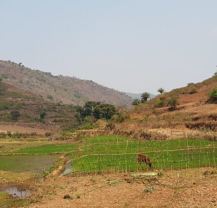 Salur Tour Package 2 Days Best Price