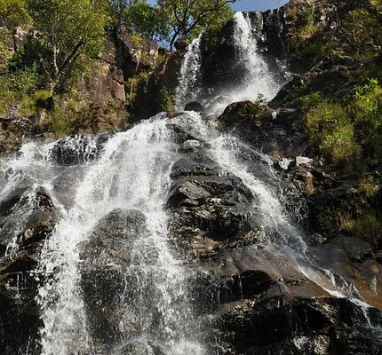 Pachmarhi Tamia Patalkot Tour Package 5 Days