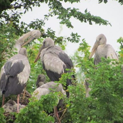 Ichchapuram Tour Package 2 Days Best Price