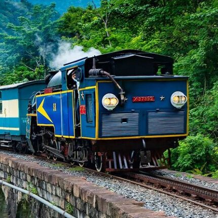 Ooty Coonoor Kotagiri Doddabetta Peak Tea Gardens Tour Package 4 Days