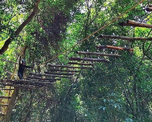 coorg tour package from ahmedabad 4 days coorg tour package from ahmedabad 4 days