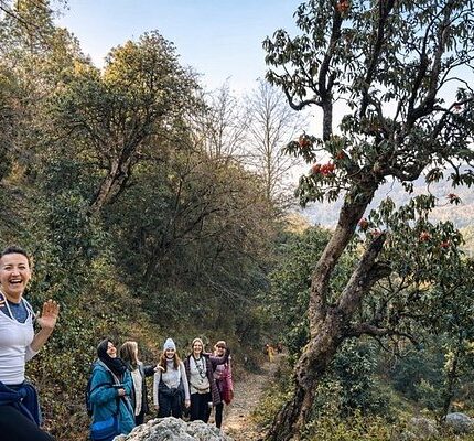 Devprayag Dhanaulti Tour Package