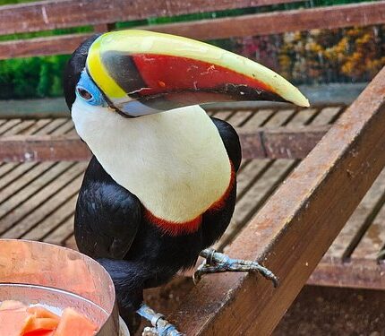 Yercaud Tour Package from Salem 3 Days