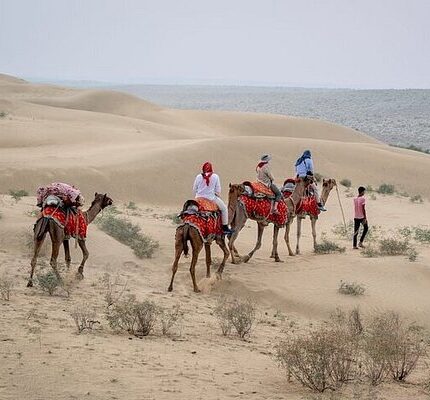 Jaipur Jodhpur Jaisalmer Bikaner Tour Package 7 Days