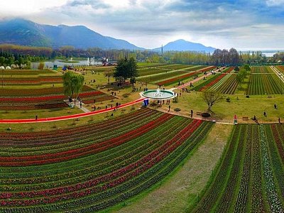 Srinagar Pahalgam Sonmarg Yusmarg Tour Package 6 Days