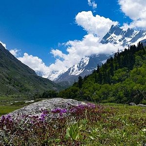 Dehradun Mussoorie Tour Package 3 Days