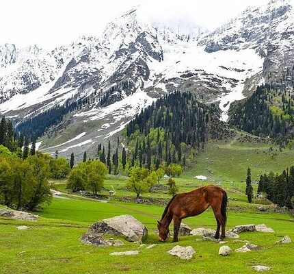 Kashmir Tour Package from Pune