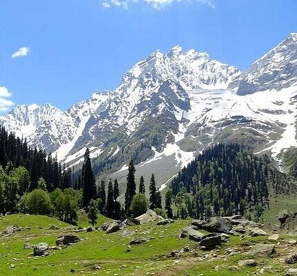 Kashmir Tour Package from Indore