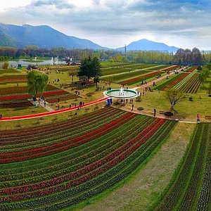 Kashmir Tour Package from Thane