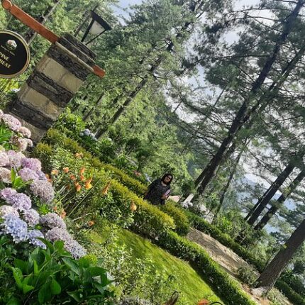 shimla kufri chail mashobra tour package 5 days