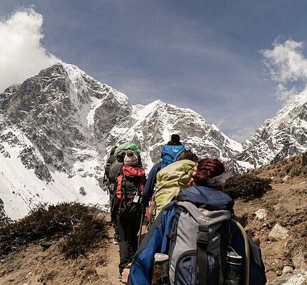 palampur kangra jawalamukhi tour package 5 days