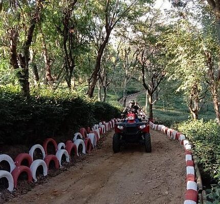 palampur baijnath kangra masroor tour package 6 days