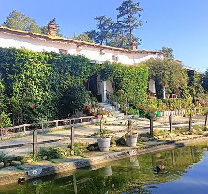 Almora Kausani Binsar Kasar Devi Katarmal Sun Temple Tour Package 6 Days