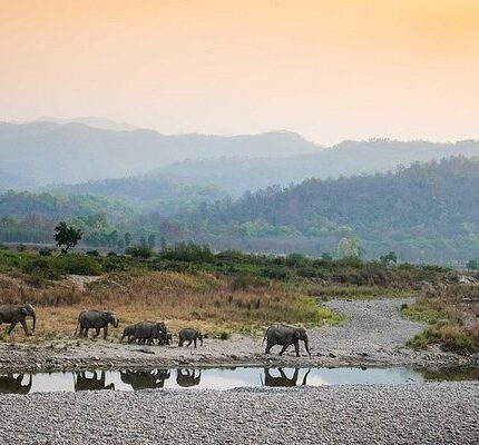 Nainital Jim Corbett Tour Package from Delhi